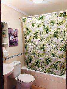 コラレホにあるApartamento Céntrico Lobosのバスルーム(トイレ、シャワーカーテン付)