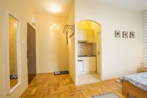 Virtuvė arba virtuvėlė apgyvendinimo įstaigoje Belgrade Center Apartment Skadarlija