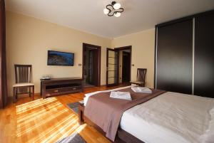 een slaapkamer met een bed, een bureau en een televisie bij Vila Moldavia Class in Slănic-Moldova
