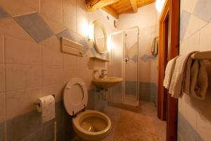 a bathroom with a toilet and a sink and a shower at Giacomino Apartment in Livigno