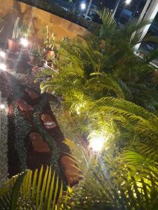 una habitación llena de plantas y luces en Hotel Sempre Bahia, en Salvador
