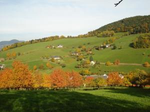 Gallery image of Gîte Henry in Orbey