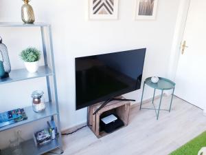 einen Flachbild-TV auf einem Stand in einem Wohnzimmer in der Unterkunft 25mn to HH-2BR Kitchen&Netflix in Elmshorn