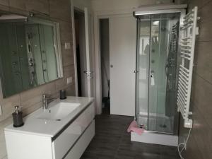 ein Bad mit einem Waschbecken und einer Dusche in der Unterkunft Alessietto in Verona