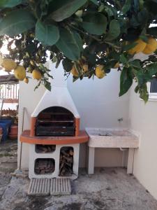 a bird house sitting under a lemon tree at Sun House in Cascais