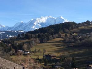 Gallery image of Luxury 2 Bedroom Apartment with view of Mont Blanc in Combloux
