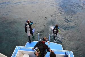 Gosti koji borave u objektu Seagrape Plantation Resort & Dive Center
