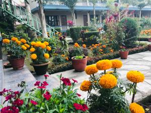 Garður fyrir utan Chitwan Village Resort