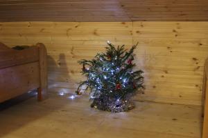 Fotografie z fotogalerie ubytování Bakuriani residence v destinaci Bakuriani