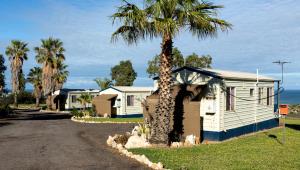 a palm tree in front of a house at Drummond Cove Holiday Park in Drummond Cove