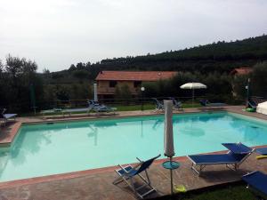 a large swimming pool with chairs and an umbrella at Agriturismo Val di Nappo in Castiglione della Pescaia