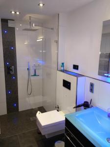 a bathroom with a shower and a toilet and a sink at Ferienwohnung Parkblick in Bremen