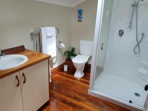 a bathroom with a shower and a toilet and a sink at Haven on Glenaven B&B in Motueka