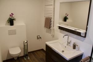 bagno con lavandino, servizi igienici e specchio di Echt Heimat Apartments a Sankt Gilgen