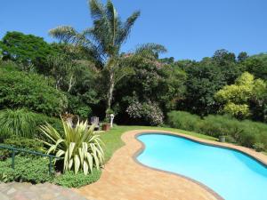 a swimming pool in a garden with trees at Butterscotch B&B in Pinetown