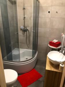 een badkamer met een douche, een toilet en een wastafel bij Apartament Sunset in Sopot