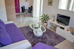 TV a/nebo společenská místnost v ubytování Apartments Šolta