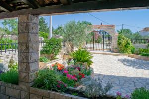 Zahrada ubytování Apartments Šolta