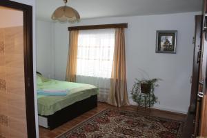 a bedroom with a bed and a window and a rug at Pensiunea Alecsandra in Vatra Dornei