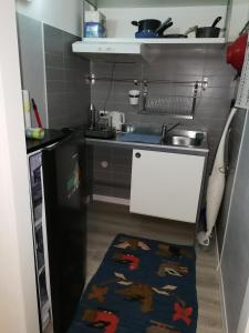 a small kitchen with a sink and a kitchen rug at Enjoy Padova in Padova