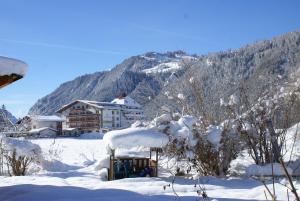 Apart Daniel om vinteren