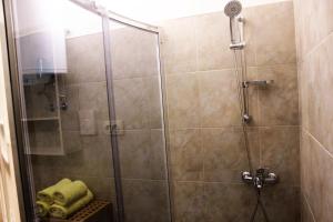 a shower with a glass door in a bathroom at Apartments Olea in Pinezici