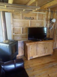 a living room with a tv and a wooden wall at Cabañas Sol de Montañas in Futaleufú