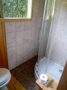 een badkamer met een douche, een toilet en een wastafel bij Cabañas Sol de Montañas in Futaleufú