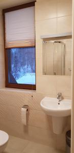 a bathroom with a sink and a window at Centrum Promocji Leśnictwa w Mucznem in Lutowiska