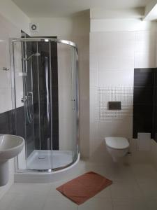 ein Bad mit einer Dusche, einem WC und einem Waschbecken in der Unterkunft Centrum Promocji Leśnictwa w Mucznem in Lutowiska
