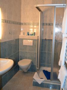 ein Bad mit einer Dusche, einem WC und einem Waschbecken in der Unterkunft Hotel Zum Goldenen Hirsch in Bad Bevensen