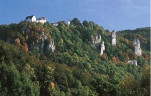 a house on top of a hill with trees at Ferienwohnung Maier in Kreenheinstetten