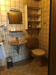 a bathroom with a toilet and a sink at Gästehaus Rehwinkel in Allenbach