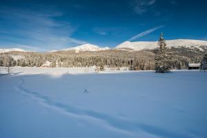 Ludlalm am Prebersee durante l'inverno
