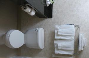 a bathroom with a toilet paper dispenser and towels at Holiday Inn Express Hotel & Suites Knoxville, an IHG Hotel in Knoxville