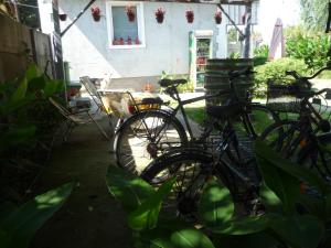 a couple of bikes parked in a yard at Hostel Respect in Pančevo