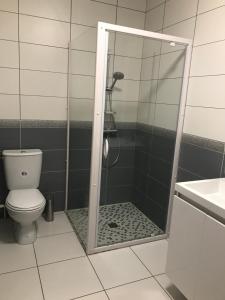 een badkamer met een douche, een toilet en een wastafel bij Logis Le Provençal in Euville