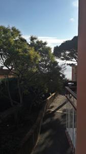 a view of trees and the ocean from a balcony at Hotel Esperia in Genoa