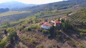 an aerial view of a house in a vineyard at I Granai in Pontassieve