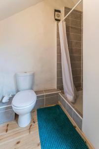 a bathroom with a toilet and a shower with a rug at Trevaylor Vean in Penzance