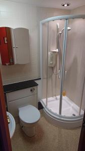 a bathroom with a shower and a toilet and a sink at Castleyards Apartment 12 in Kirkwall