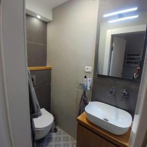 La salle de bains est pourvue d'un lavabo, de toilettes et d'un miroir. dans l'établissement Ramat Poleg, walk to beach, à Netanya
