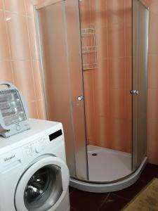 ヤブルニツァにあるЯблуневий садのバスルーム(シャワー付)の洗濯機が備わります。