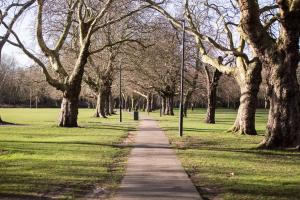Fotografie z fotogalerie ubytování Absolute Clapham v Londýně