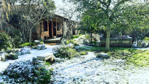 A garden outside Masseria Borgo del Gallo