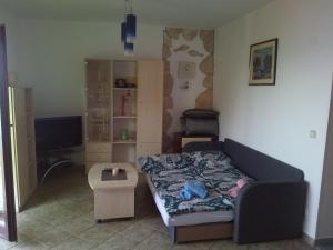 Apartment Djanina في كريس: غرفة معيشة مع أريكة وتلفزيون