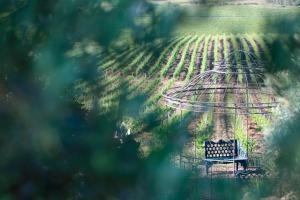 a park bench in front of a field at La Foresteria Planeta Wine Resort & Beach Club in Menfi