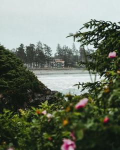 Gallery image of Pacific Sands Beach Resort in Tofino