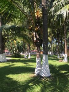 Zahrada ubytování Nichos Beach Villas