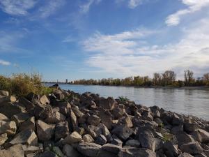 a large group of rocks on the side of a river at Gästehaus Uwe&Heidi in Düsseldorf